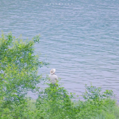 海阳福瑞交流群